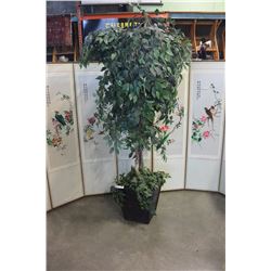 LARGE SILK TREE IN PLANTER