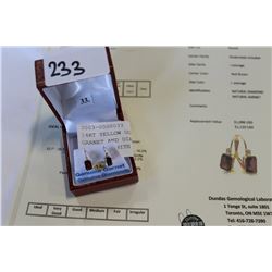 14KT YELLOW GOLD GENUINE GARNET AND DIAMOND LEVERBACK