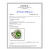 Image 3 : 4.51CT NATURAL COPPER BEARING PARIBA TOURMALINE 18K W/G RING