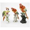 Image 1 : Two Naples porcelain bird models, parakeet-types, 9ins and another, German, 11ins (some damage)...