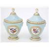 Image 1 : A pair of Sevres-style vases and covers, each of pedestal shape with two floral panels painted ag...