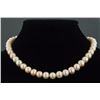 Sterling Silver Freshwater Pearl Necklace CRV$621