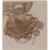 Image 1 : M Howe, Etching