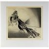Image 2 : Tom Chouteau, Etching