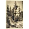 Image 1 : Cora A. Smith, Etching