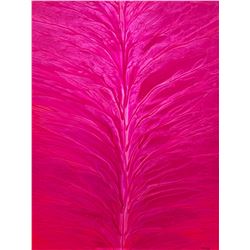 John Baker, Acrylic