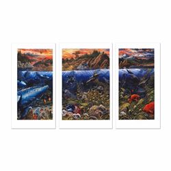 Underwater World Limited Edition Mixed Media Triptych (48" x 29") by Robert Lyn Nelson, Numbered and