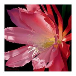 Brian Davis - "Crimson Fire" Limited Edition Giclee on Canvas, Numbered and Hand Signed with COA! -#