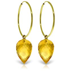 19 ctw Citrine Earrings Jewelry 14KT Yellow Gold