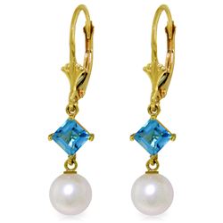 5 ctw Blue Topaz Earrings Jewelry 14KT Yellow Gold