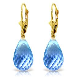28 ctw Blue Topaz Earrings Jewelry 14KT Yellow Gold