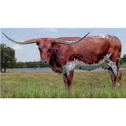 TXN SUGAR BABY SPECIAL