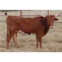 KETTLE’S STRAWBERRY JAM