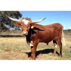 BRR SMOKE’N MIRROR