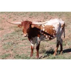 RJF ATLANTA JACK POT