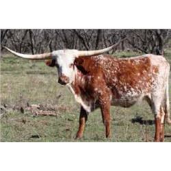 BR TEARDROP FROM HEAVEN