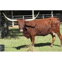 JUST ME MARK OF TOPAZ