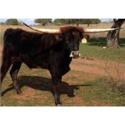 BRR MALICIOUS SHADOW