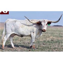 ALLENS 290/9