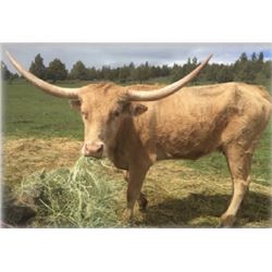 BAUBLE BEADS AND STARS