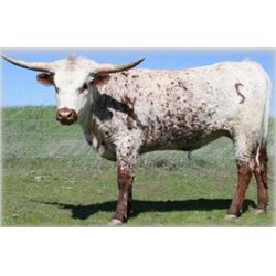 ATLAS’ TINY BUBBLES