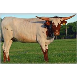 SR 007’S CITROEN 577