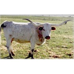 HUBBELL’S RIO ROANITA