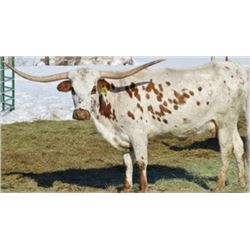 ALLENS TOUCH THE WIND