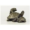 Image 8 : Vienna Bronze Snapping Tortoise Sculpture (4"X4")