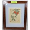 Image 1 : FRAMED CHINESE PAINTING OF BIRD AND FLOWER ON SILK
