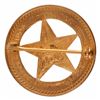 Image 3 : Texas Ranger Jay Banks Gold Badge