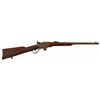 Image 1 : Spencer Model1865 Carbine Arizona Indian Territory