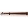 Image 10 : Colt Model 1861 Martial .58 Musket