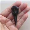 Image 2 : Hand Carved Raven Skull Pendant