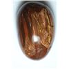 Image 1 : Natural Colorful Healing Petrified Wood 876 Carats