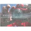 Image 11 : 2011 - BUICK REGAL