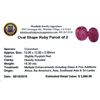 Image 2 : 19.30 ctw Oval Mixed Ruby Parcel