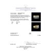 Image 5 : 3.00 ctw Diamond Ring - 14KT Yellow Gold