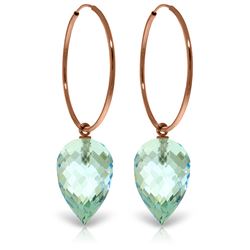22.5 ctw Blue Topaz Earrings Jewelry 14KT Rose Gold