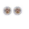 0.75CTW White and Champagne Diamond Micro-Pave 10KT Earrings Yellow Gold