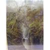Image 1 : VICTORIAN SCHOOL, study of woodland waterfall, oils on canvas, indistinct signature lower left, (...