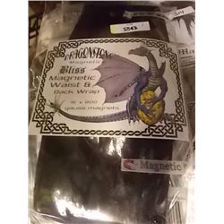 DRAGON STONE WAIST AND BACK SUPPORT
