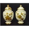 Image 1 : Pair of 19th century Derby lidded vases han…