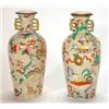 Image 1 : Pair of Victorian pottery vases hand colour…