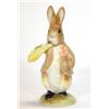 Image 1 : Hand painted Royal Albert Beatrix Potter 'B…
