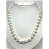 Image 1 : #31-STERLING SILVER FRESHWATER PEARL & CUBIC