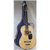 Image 1 : ACOUSTIC GUITAR WITH CASE
