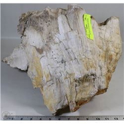LARGE PIECE PETRIFIED WOOD