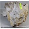 Image 1 : LARGE PIECE PETRIFIED WOOD