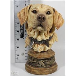 SIGNED G- PELTZER 2004 COMMODOR YELLOW HAND